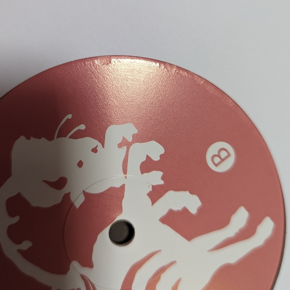 2016 The Format clear vinyl Rarities - Picture 7 of 13